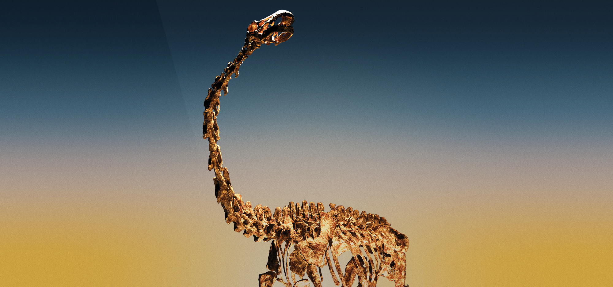 Dinosaurs of Patagonia | Perth Cultural Centre